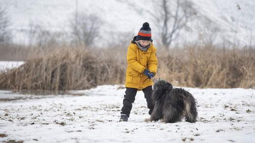 Under the Surface Season 2 Episode 4 - Episode 4