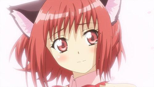Tokyo Mew Mew New Season 1 Episode 7 - Farewell Cherry Blossom