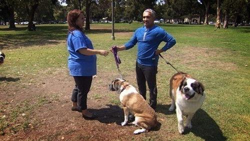 Cesar 911 Season 2 Episode 6 - Devil or Saint?