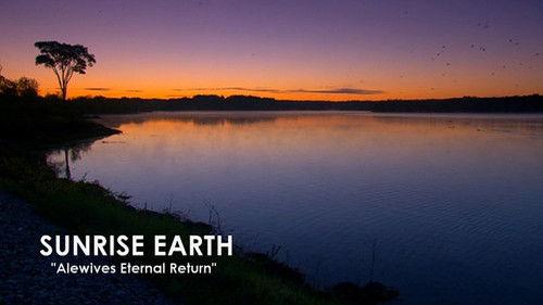 Sunrise Earth Season 1 Episode 7 - Alewives Eternal Return