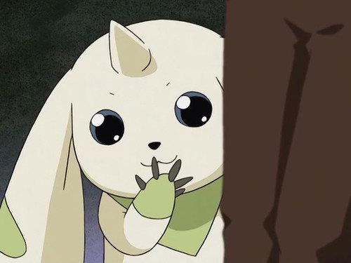 Digimon Tamers Season 1 Episode 2 - Digimon, Digimon Everywhere