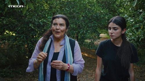 Olive Land Season 4 Episode 9 - Episode 9