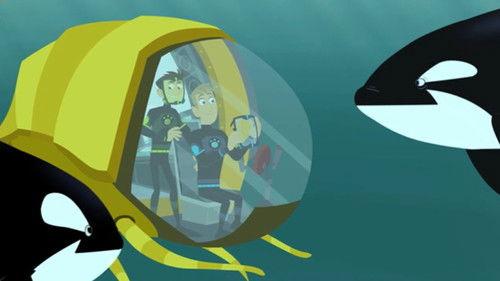Wild Kratts Season 4 Episode 21 - This Orca Likes Sharks