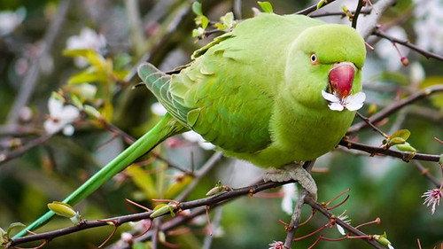 Springwatch Season 16 Episode 10 - Episode 10