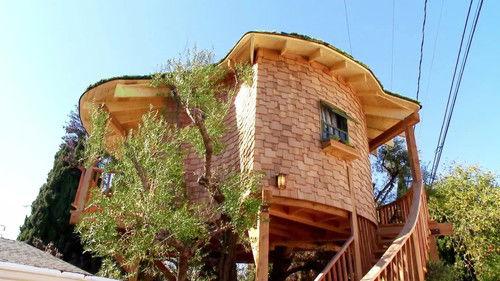 Treehouse Masters Season 1 Episode 2 - Luck o' the Irish Cottage