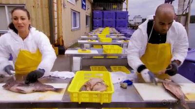 Background image for There's a Fish in My Pants