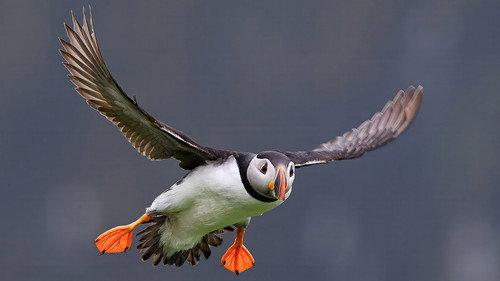 Springwatch Season 22 Episode 11 - Episode 11