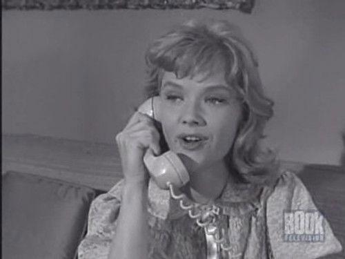 Alfred Hitchcock Presents Season 7 Episode 5 - Keep Me Company