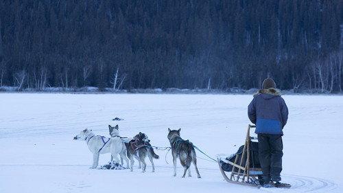 Life Below Zero Season 9 Episode 3 - The 11th Hour