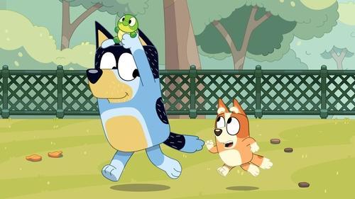 Bluey Season 3 Episode 30 - Turtleboy