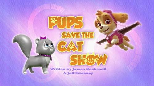 PAW Patrol Season 4 Episode 4 - Pups Save the Cat Show