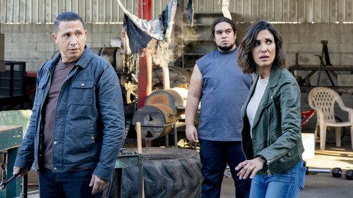 NCIS: Los Angeles Season 12 Episode 9 - A Fait Accompli