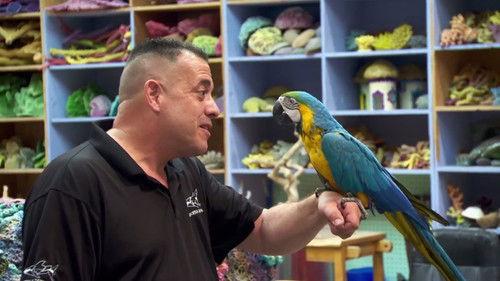 Tanked Season 12 Episode 9 - The Fast and the Fishiest