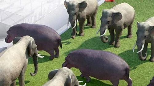 Athleticus Season 1 Episode 17 - Episode 17