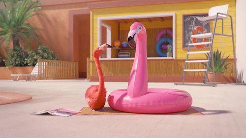 Athleticus Season 4 Episode 2 - Episode 2