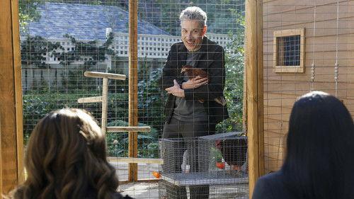 CSI: Vegas Season 3 Episode 6 - Atomic City