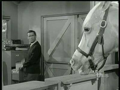 Mister Ed Season 5 Episode 5 - The Heavy Rider