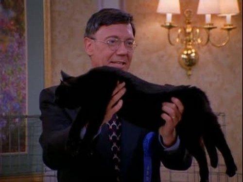 Sabrina, the Teenage Witch Season 1 Episode 19 - Cat Showdown