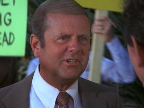 Eight Is Enough Season 5 Episode 8 - Strike