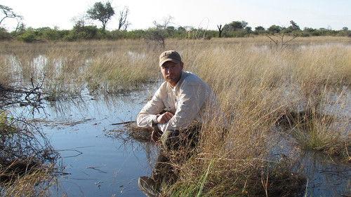 Background image for Freddie Flintoff