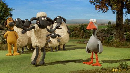 Shaun the Sheep: Adventures from Mossy Bottom Season 1 Episode 18 - Sheep Sheep Goose