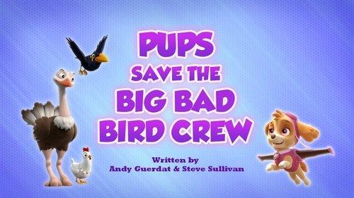 PAW Patrol Season 7 Episode 9 - Pups Save a Big Bad Bird Crew