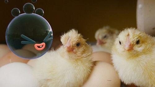 Fizzy and Suds Season 1 Episode 18 - Chickens