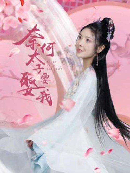 奈何太子要娶我 poster