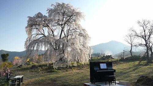 Shin Nihon Fudoki Season 11 Episode 11 - Episode 11