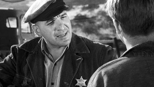 The Fugitive Season 3 Episode 20 - Stroke of Genius