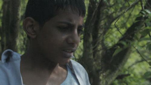 Silent Witness Season 12 Episode 9 - The Lost Child (1)