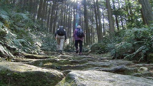 Seasoning the Seasons Season 5 Episode 5 - The Iseji Route: Journey of the Soul over Passes