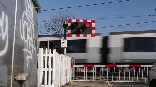 Crimewatch Live Season 17 Episode 14 - Episode 14