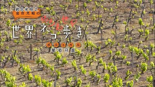 Mitsuaki Iwago's World “Cats” Travelogue Season 1 Episode 8 - Portugal