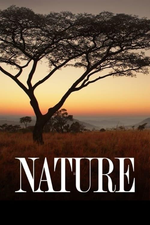 Nature poster