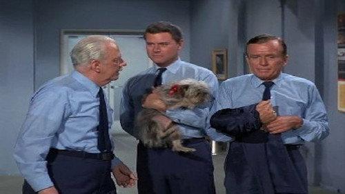 I Dream of Jeannie Season 5 Episode 2 - Djinn, Djinn, the Pied Piper