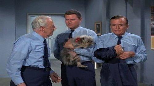 undefined Season 5 Episode 2 - Djinn, Djinn, the Pied Piper