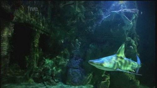 The Gadget Show Season 9 Episode 7 - Episode 7