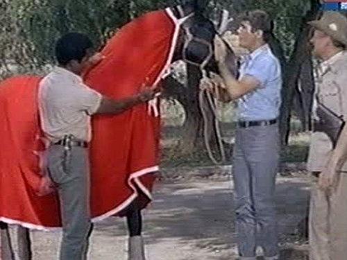 Daktari Season 3 Episode 11 - Judy and the Thoroughbred