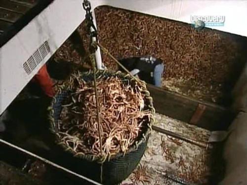 Deadliest Catch Season 1 Episode 10 - The Final Run