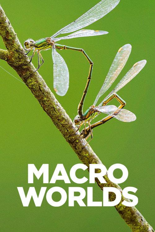 Macro Worlds poster