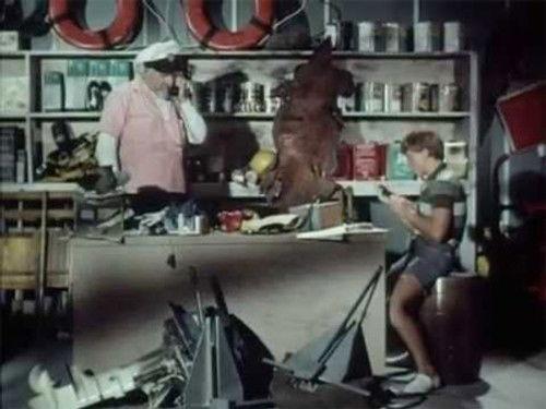 Flipper Season 2 Episode 20 - Flipper and the Shark Cage