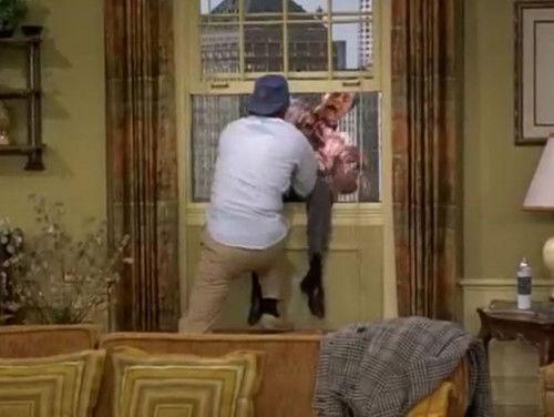 The Odd Couple Season 2 Episode 17 - You Saved My Life