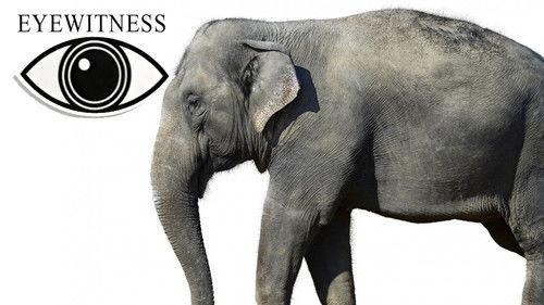 Eyewitness Season 2 Episode 5 - Mammal