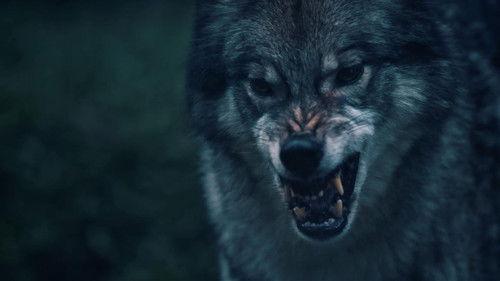 Theresa Wolff Season 1 Episode 2 - Episode 2