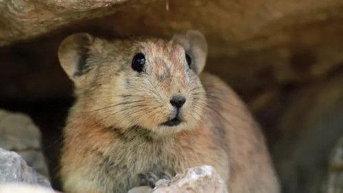 Wild Iran Season 1 Episode 1 - The Hot South