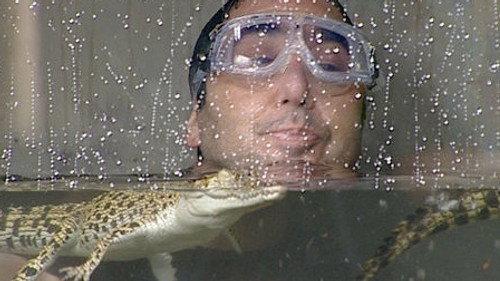 I'm a Celebrity...Get Me Out of Here! Season 6 Episode 2 - Flash Flood