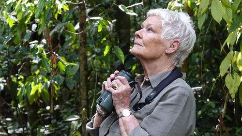 Judi Dench's Wild Borneo Adventure Season 1 Episode 1 - Episode 1