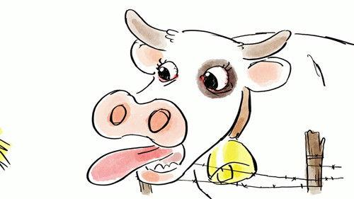 Tu mourras moins bête Season 1 Episode 12 - Episode 12