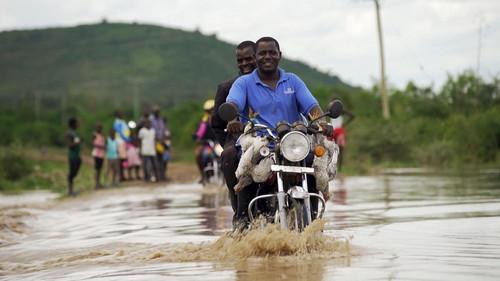 Background image for Kenya, come what may